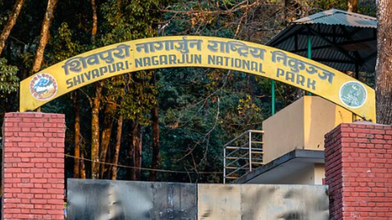 शिवपुरी–नागार्जुन राष्ट्रिय निकुञ्जमा पर्यटकका लागि अब ई–टिकेटिङ